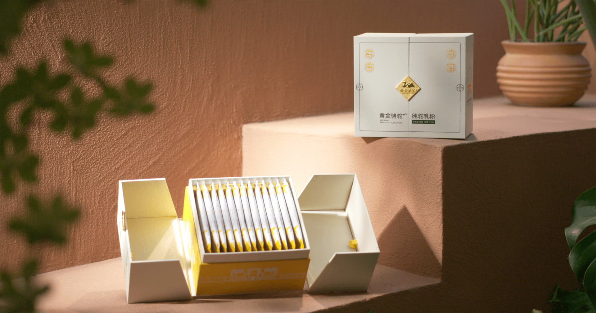 定位小众高端乳粉，欧博abg官网推出驼奶品牌“黄金骆驼+”，角逐乳品新市场！